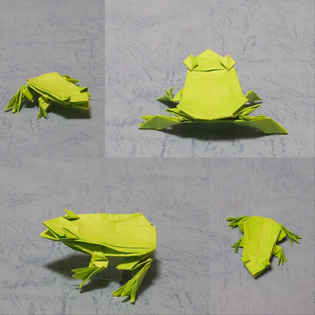 カエルの折り紙に挑戦 色んなカエルを作ってみよう 福井かえる道