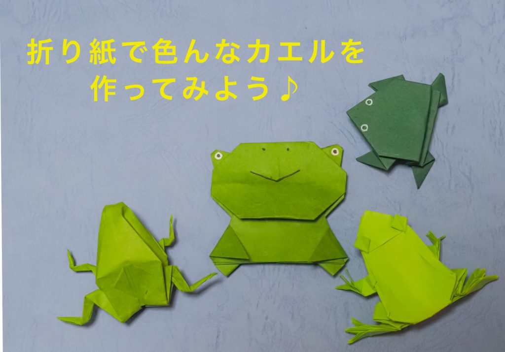 カエルの折り紙に挑戦 色んなカエルを作ってみよう 福井かえる道