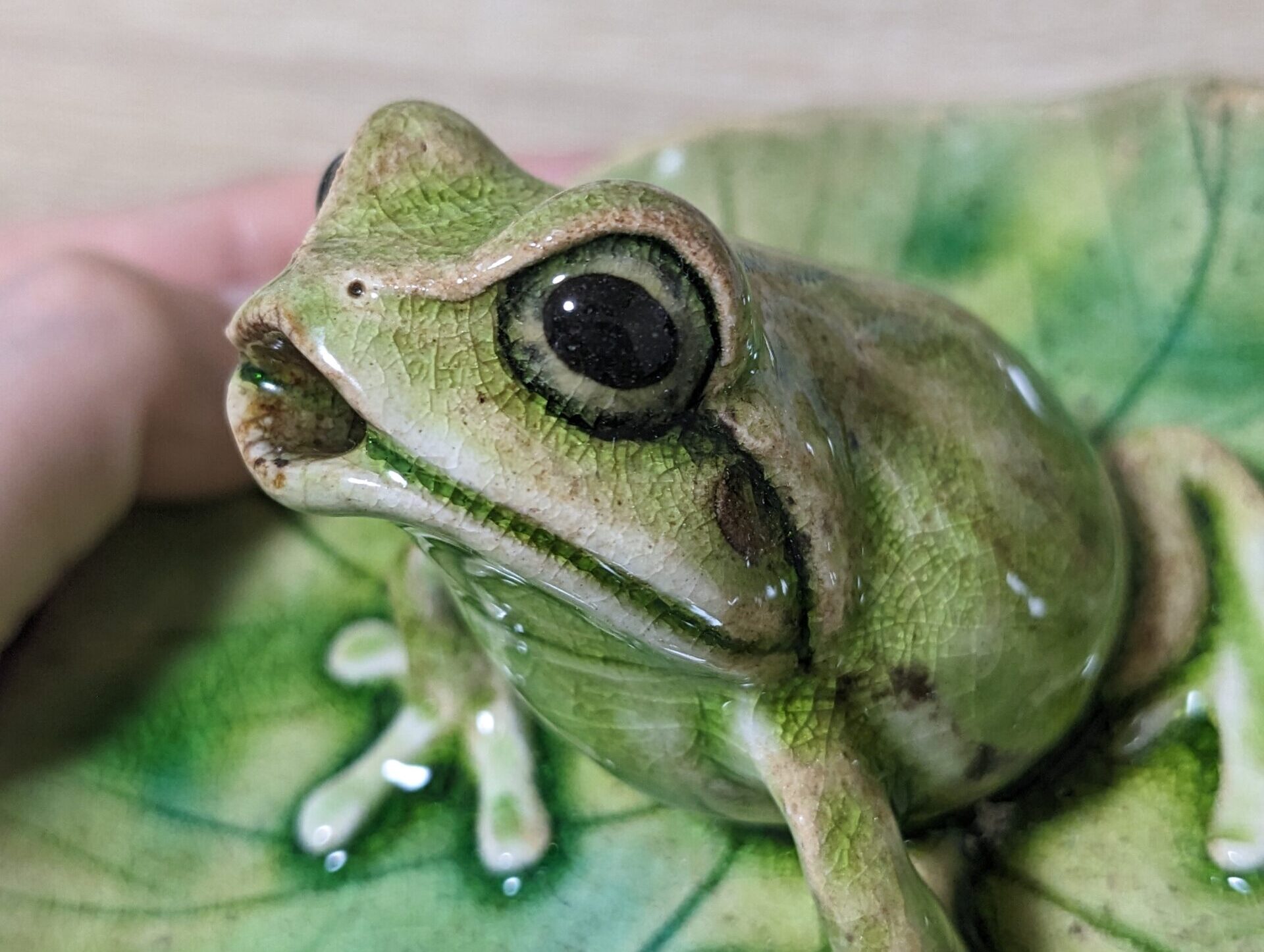 勝手にカエル作家さんの作品を紹介するコーナー！ - 福井かえる道。