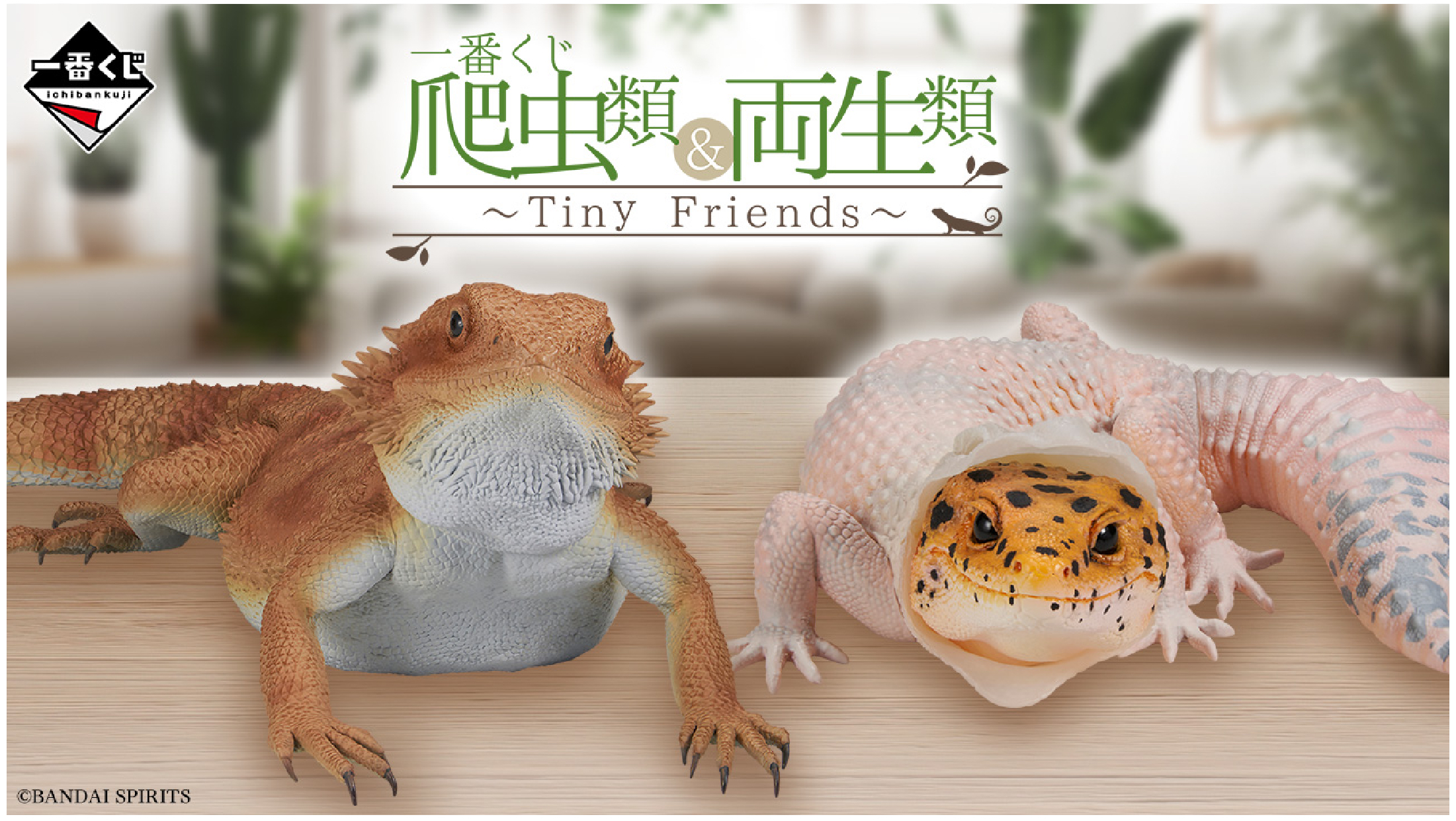 一番くじ 爬虫類＆両生類 G賞 クリアファイルコレクション