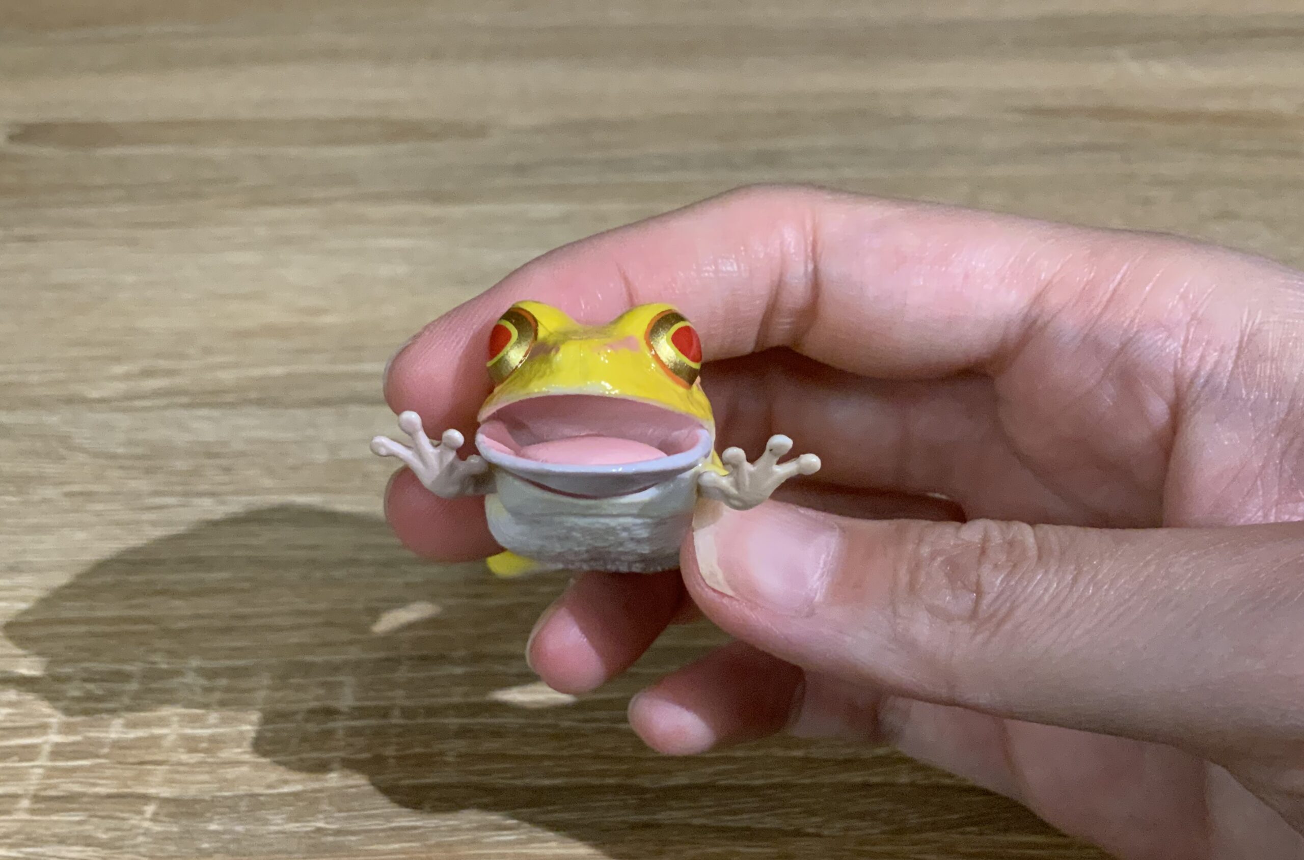 デフォルメされたアマガエルが可愛いカエルガチャ♩ - 福井かえる道。