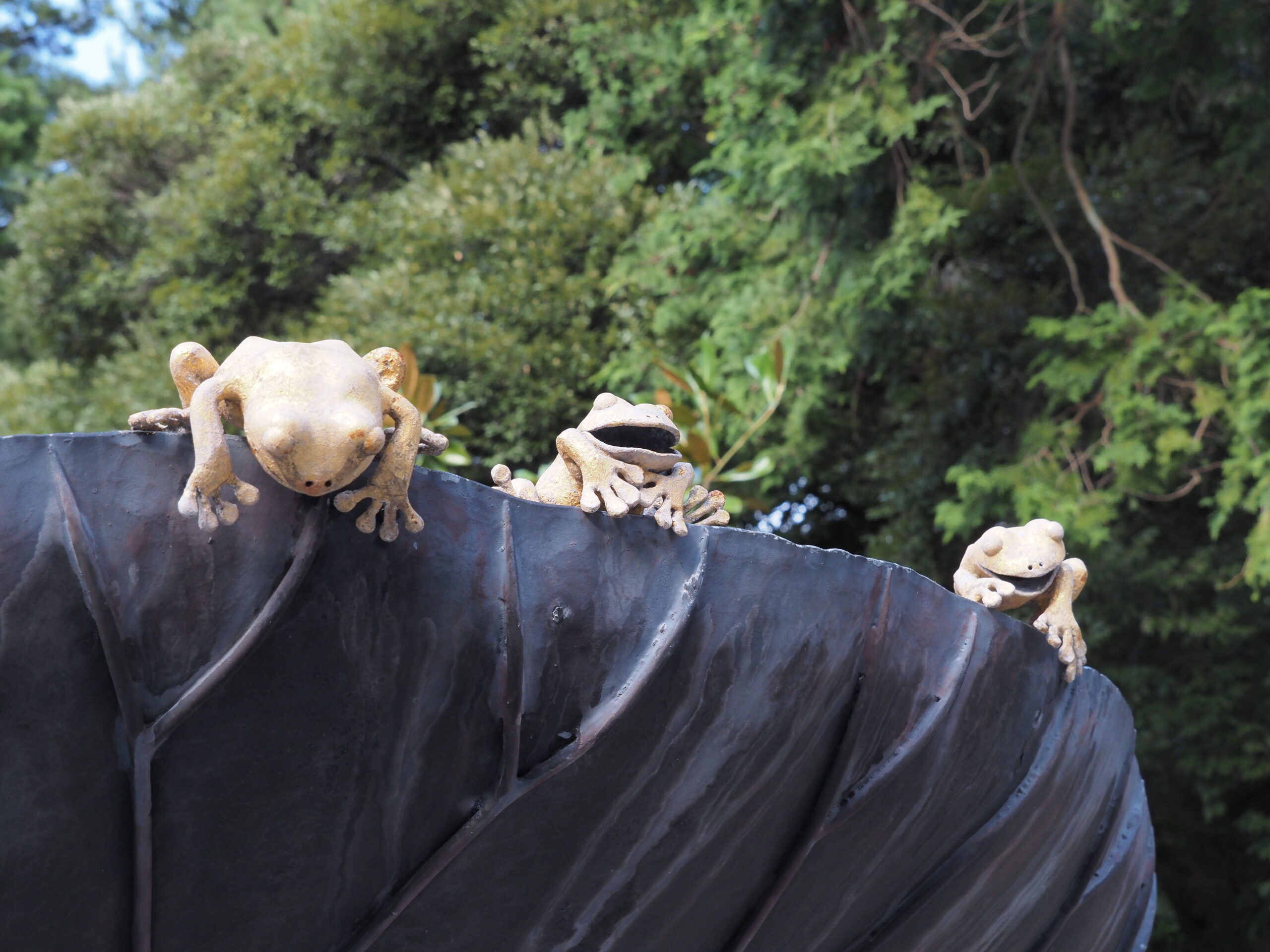 カエル LDOST1637_00_L.jpg